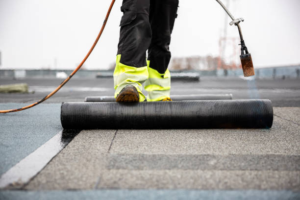 Best Roof Maintenance and Cleaning  in Highland On The Lake, NY